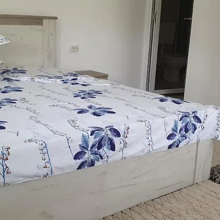 File De Vama Vama Veche