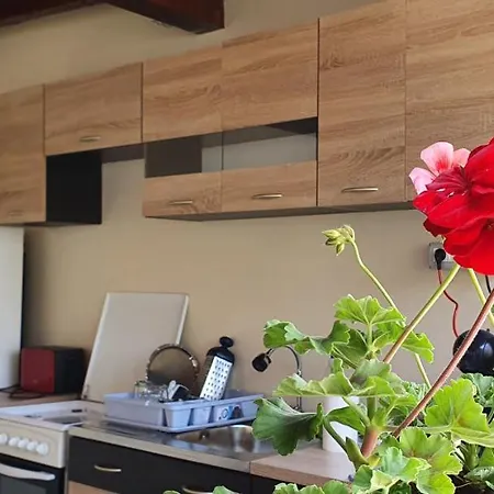 Maison d'hôtes File De Vama Vama Veche