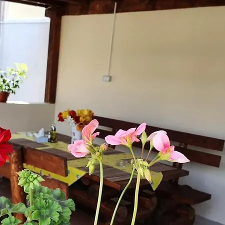 Maison d'hôtes File De Vama